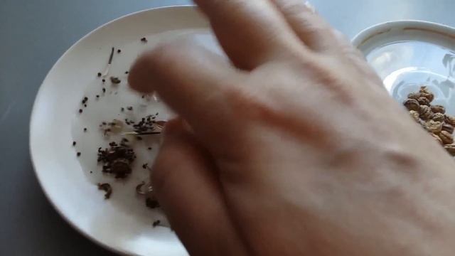 VLOG : Следы любимой вороны)))) смотреть онлайн