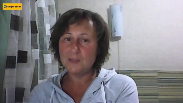 Моя собака лает и проявляет агрессию к другим собакам. «Вопрос-ответ» с кинологом Татьяной Шаманово смотреть онлайн