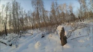 охота на зайца. Новогодняя прогулка!