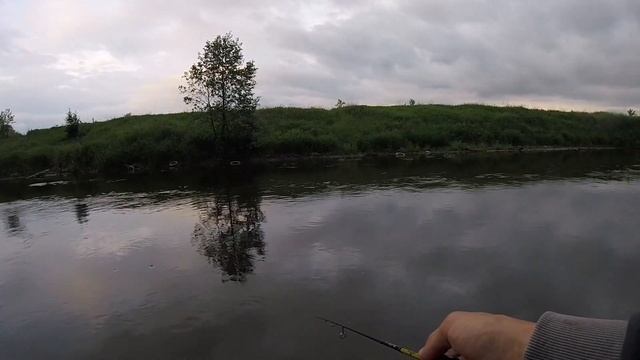 МОРМЫШИНГ С Black Adder! КРУПНАЯ РЫБА! РАЗНЫЕ ПРИМАНКИ! #мормышинг #мормо #наноджиг #окунь #карась смотреть онлайн