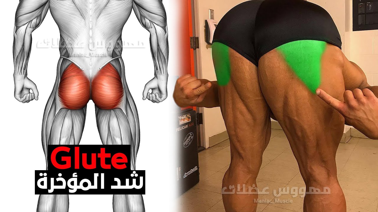 5 лучших упражнений для тренировки ягодиц (эффективные упражнения !!) смотреть онлайн