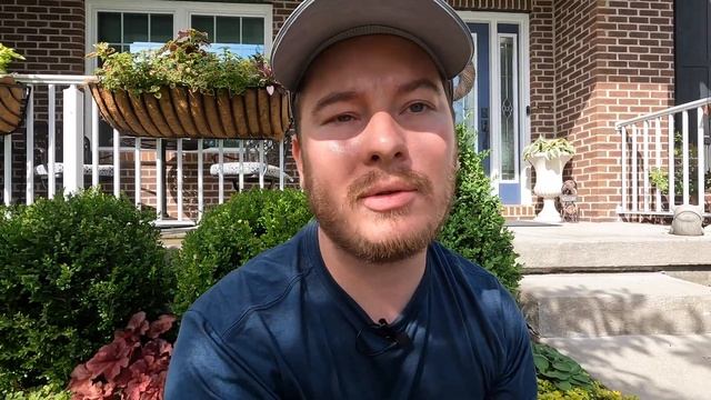 Microclover in the Vegetable Garden & Restaining My Fountain | The Southerner's Northern Garden смотреть онлайн