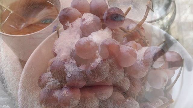 Зимовий виноград. З циклу "Вірші для коханої Жінки" смотреть онлайн