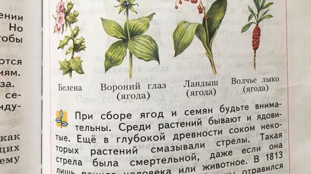 Ядовитые ягоды. Окружающий мир 3 класс смотреть онлайн