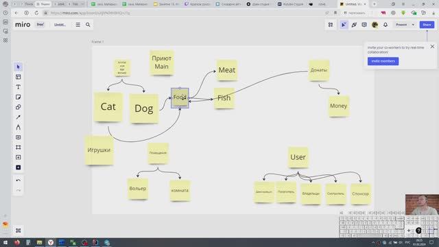 Java Core. ООП. Программа для приюта для животных. смотреть онлайн