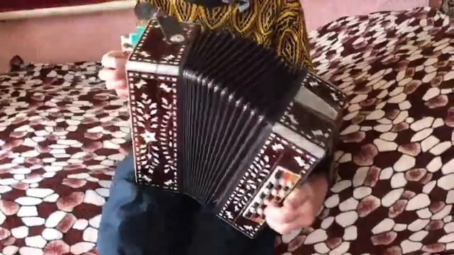 Любительская гармонь - Сормача (Гармонист самоучка) смотреть онлайн