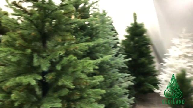 ❄️❄️❄️ Видео для партнеров компании Elkiland ??? | Дропшиппинг ? Искусственные Елки | Опт смотреть онлайн