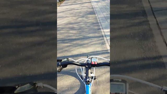 забастовка в Германии и прогулка на велосипеде смотреть онлайн