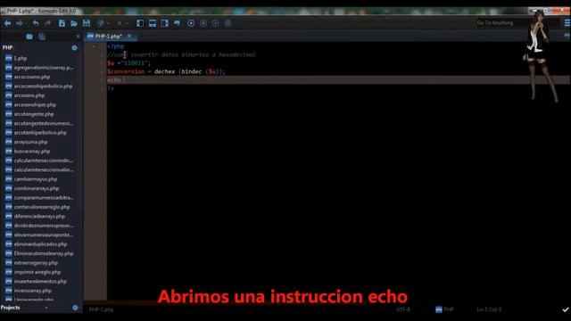 102.-Videotutorial de como convertir binarios a hexadecimal en php смотреть онлайн