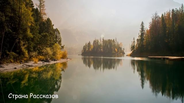 Высмеивала и гнобила зятя, но вскоре приползла на порог его дома с мольбой... смотреть онлайн