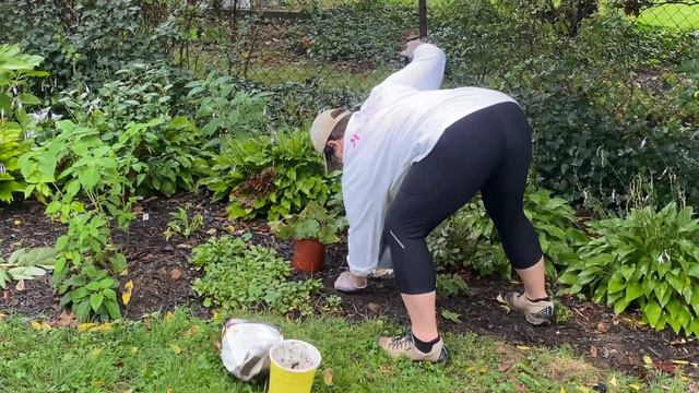 The Joy Of Pass-Along Plants - ❤️🌸❤️🌺❤️ смотреть онлайн