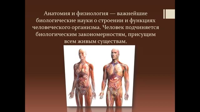 ЛК Организм как единая саморазвивающаяся биологическая система смотреть онлайн