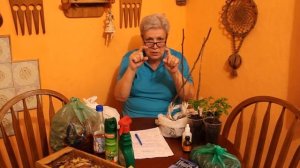 110 От бабочек на капусте