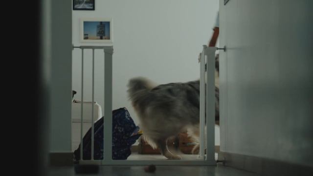 The RAW is USELESS ?!! 10 bits vs 12 bits - Sony FX3 vs BMPCC4K смотреть онлайн