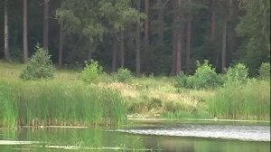 50 яшь.Татарское Караоке