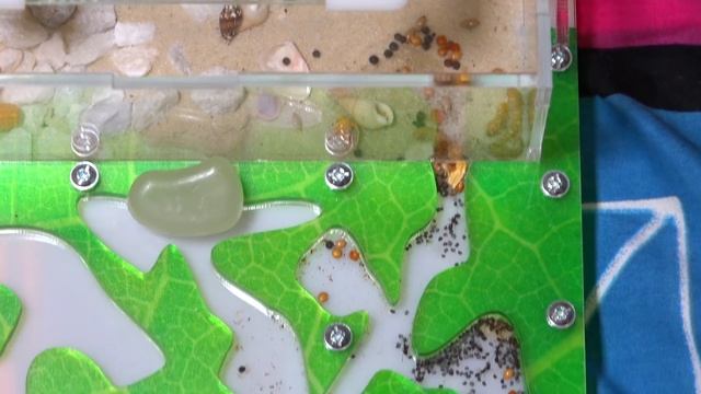 Кто ЭТО... сделал?Как так получилось? Who did it? How did it happen? смотреть онлайн