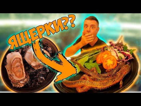 Обзор Xì Po Quán! Пробуем ящериц! смотреть онлайн