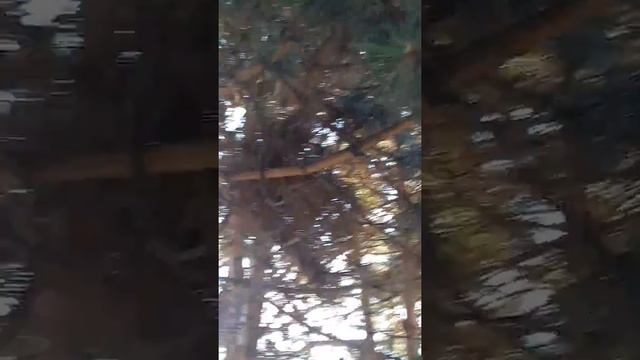 Иссык-Куль.Евразия 2018 смотреть онлайн