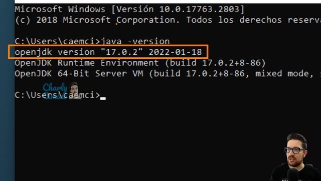 Instalación del OpenJDK y NetBeans para iniciar en JAVA ☕ смотреть онлайн