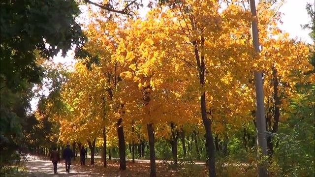 Музыка осени ? Песня Ванды Мотор на стихи Лидии Тагановой смотреть онлайн