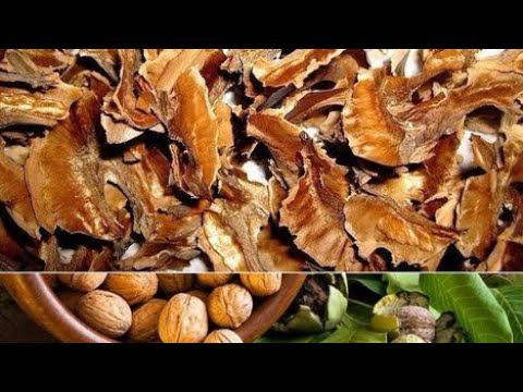 Ореховая Магия!?! Перегородки Грецких Орехов Сделают с Вашим Организмом НЕЧТО?!?