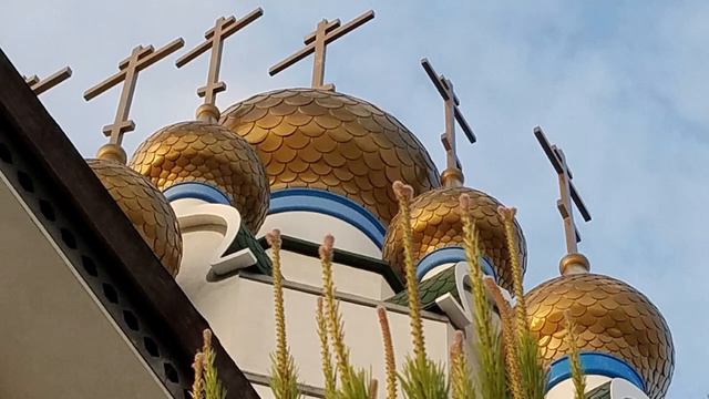 Прокимен Глас 2, Востани Господи, и Всякое Дыхание Да Хвалит Господа смотреть онлайн