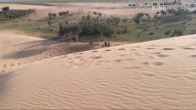 #10 Пустыня в Монголии смотреть онлайн