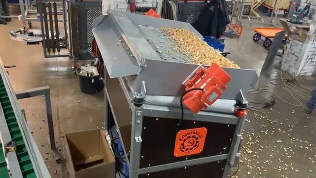 Демонстрация работы машины удаления камней из лука-севка КУЛС-12 смотреть онлайн