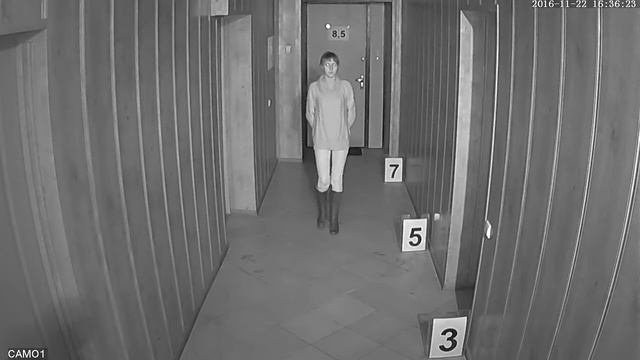 Видеокамера IPS01 помещение ночь смотреть онлайн