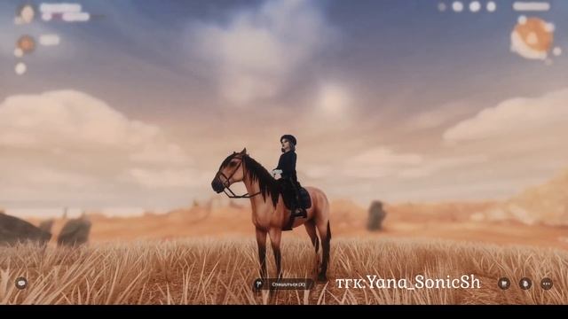 КАК Я СТАЛА ФОТОГРАФОМ в Star Stable Online смотреть онлайн