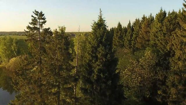 Лагри Парк - поселок в глубине леса. смотреть онлайн