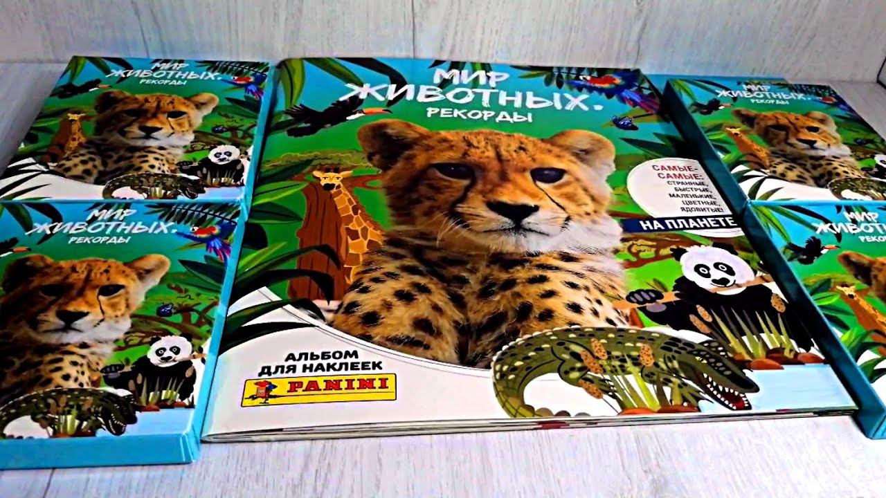 Panini Мир Животных. Рекорды - обзор альбома и блистеры смотреть онлайн