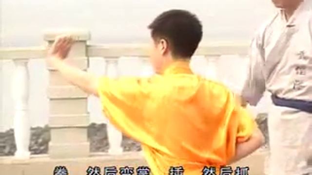 Лохань Цуань (Кулак Архата). Форма San Zhen. смотреть онлайн