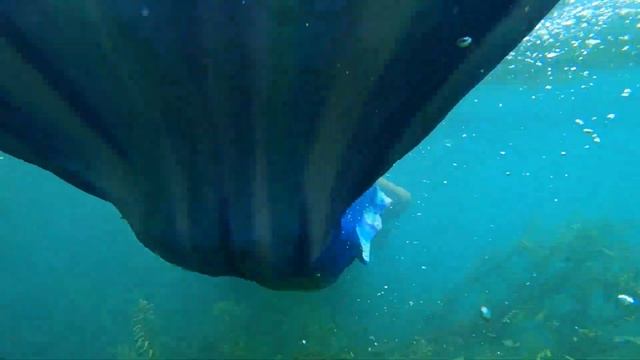 Real mermaid in Goa!!! ??♀️ Настоящая русалка в Гоа смотреть онлайн