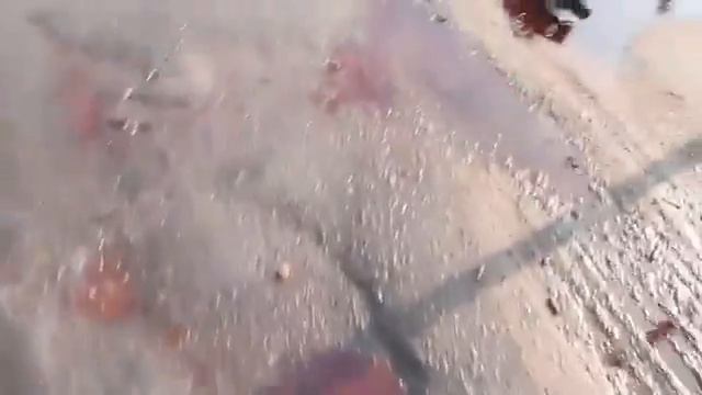 Україна новини  05 05 2014    Лужи  крови после боя Славянск 05 05 2014