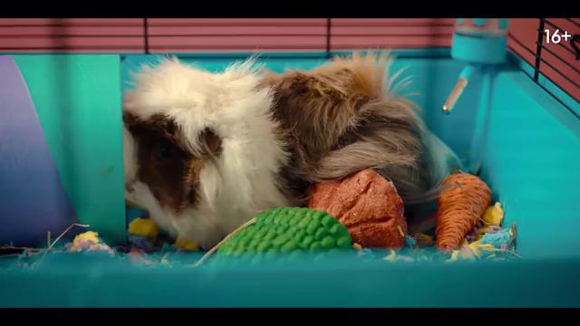 Через год в это же время (2024) смотреть онлайн