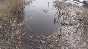 Ловля плотвы ранней весной на поплавок.Ловля плотвы на поплавочную удочку