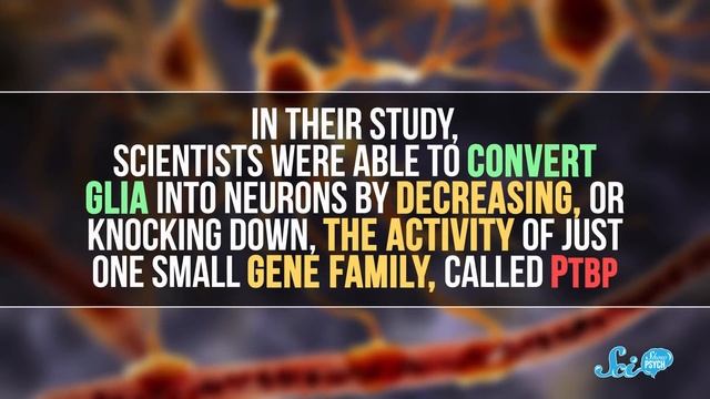 How to Reprogram a Brain Cell смотреть онлайн