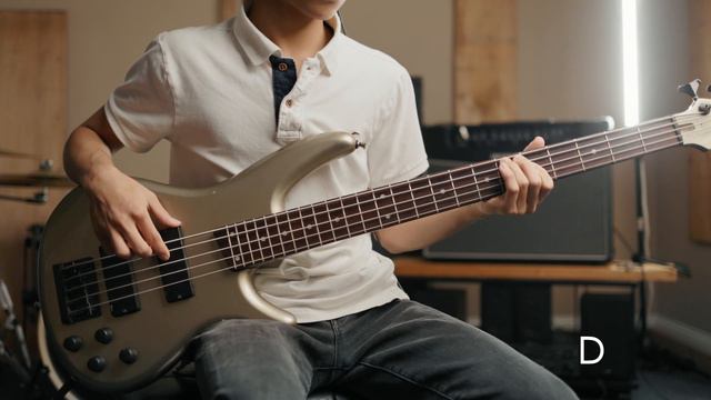 Only Jesus - Casting Crowns // Bass Tutorial (FREE TABS!) смотреть онлайн
