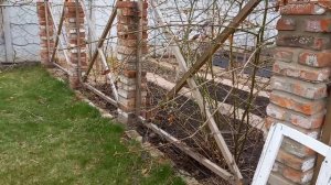 Уход за ЕЖЕВИКОЙ весной.Подкормка,обрезка #ежевика#уходзаежевикойвесной#blaсkberri#формировкаежевик