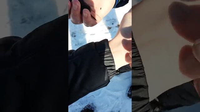 Полевая мышь зимой!!! смотреть онлайн