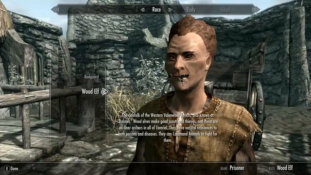 Mixing Races in Skyrim смотреть онлайн