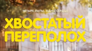 Хвостатый переполох - Русский трейлер 2024