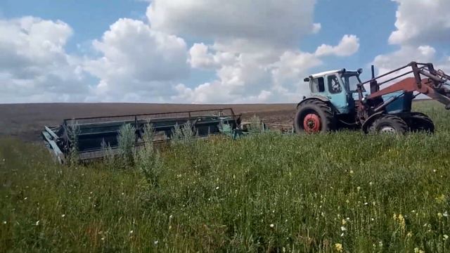 Косим жаткой. Обкашиваем поле с "Викой" и овсом. смотреть онлайн