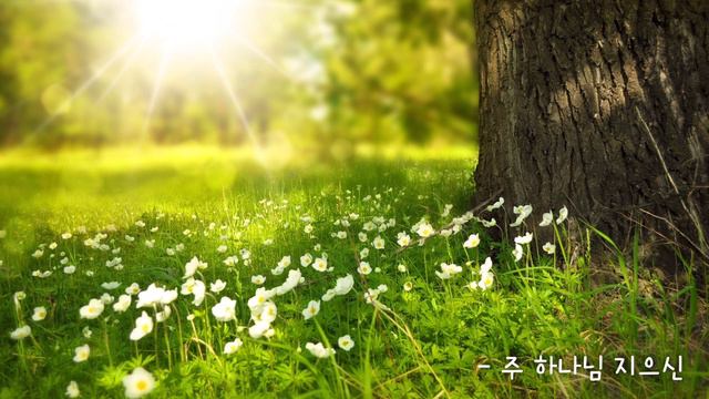 피아노묵상찬양 - 기도하며 듣는 찬양 | 샬롬피아노 | 묵상찬송 | 묵상할 때 듣는 찬양 | 기도하며 듣는 피아노 | 기도 음악 смотреть онлайн