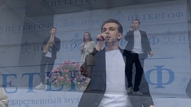 Всё для тебя (Стас Михайлов). Eleganza Band