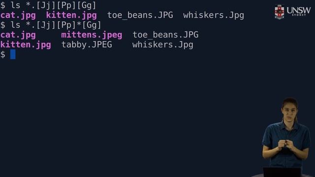 COMP2041/COMP9041 - Shell Globbing (Filename Expansion) смотреть онлайн