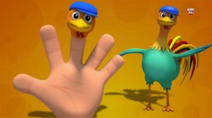палец семьи песни | Петух палец семья | 3d детские стишки | Rooster Finger Family Rhyme