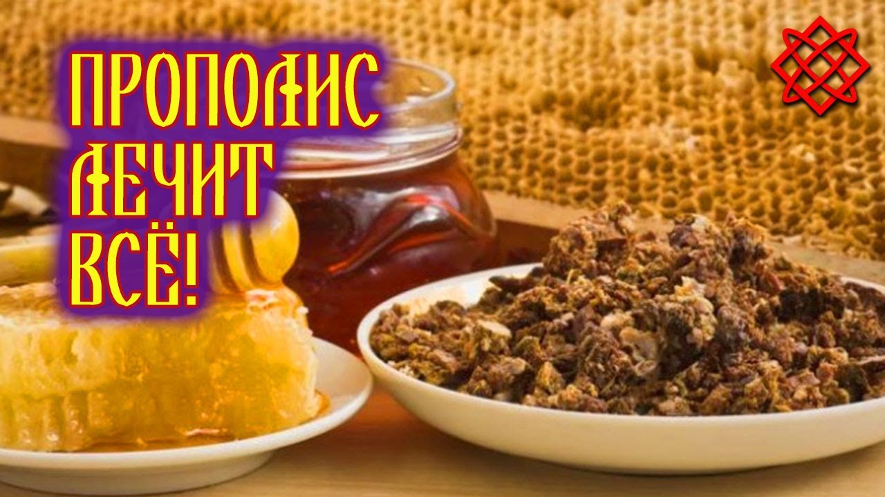 Прополис лечебные свойства о которых вы даже не подозревали. Применение прополиса.mp4 смотреть онлайн