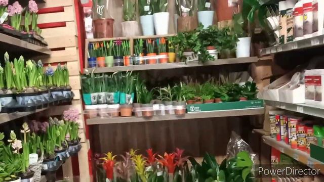 #ОРХИДЕИ ОБЗОР💮: Чем нас встретил Carrefour ?..🤨🤐Как мы получили штраф😎🤬 смотреть онлайн